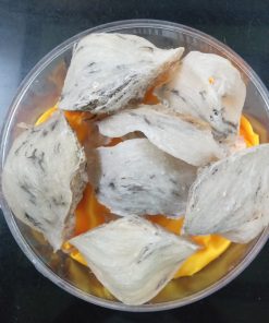 Tổ yến nguyên chất